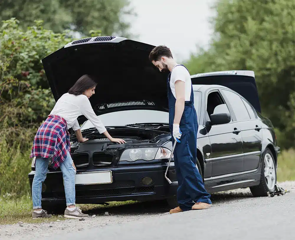 Easy Lemon — Vehicles We Serve
