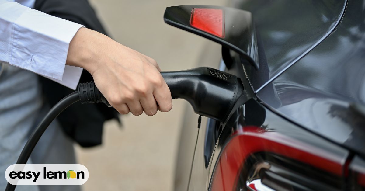 Common Issues with Tesla Model X That May Qualify as a Lemon