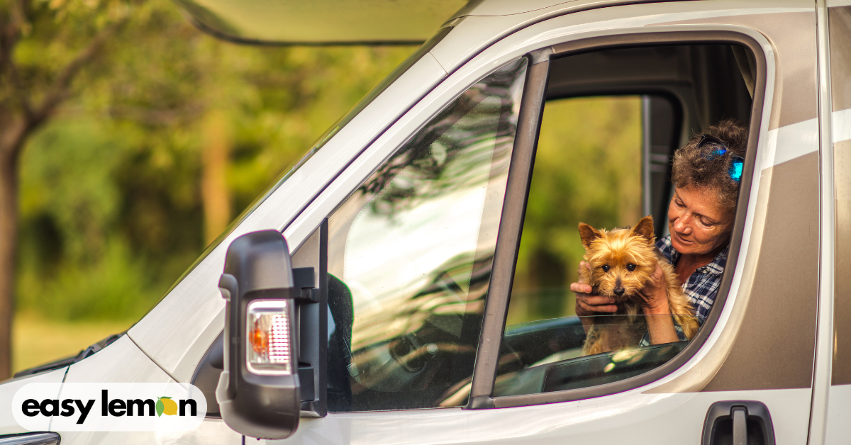 Travel trailer owner sitting in the cab with her dog