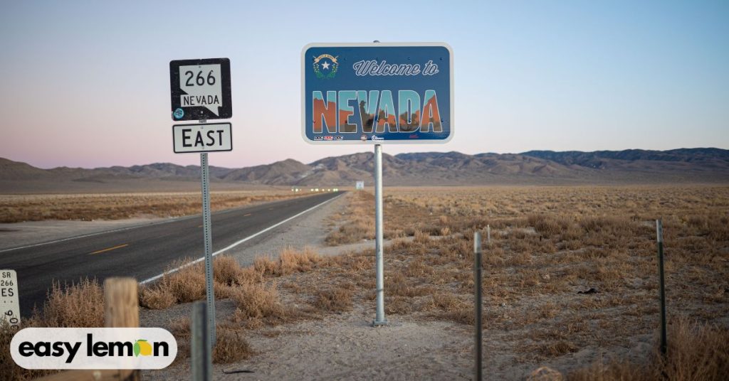 what is nevada’s lemon law and who does it protect
