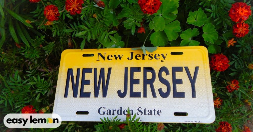 What Is the Lemon Law in New Jersey?