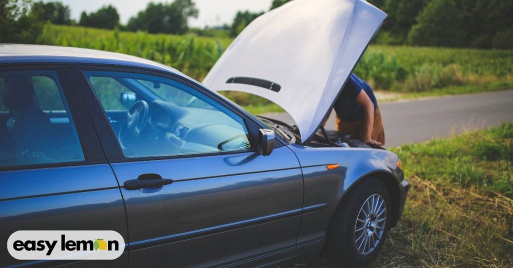 what qualifies as a “lemon” in idaho