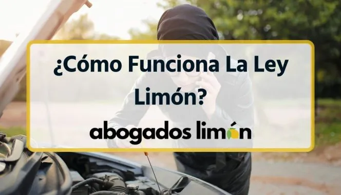 ¿Qué es la Ley Limón y cómo funciona?