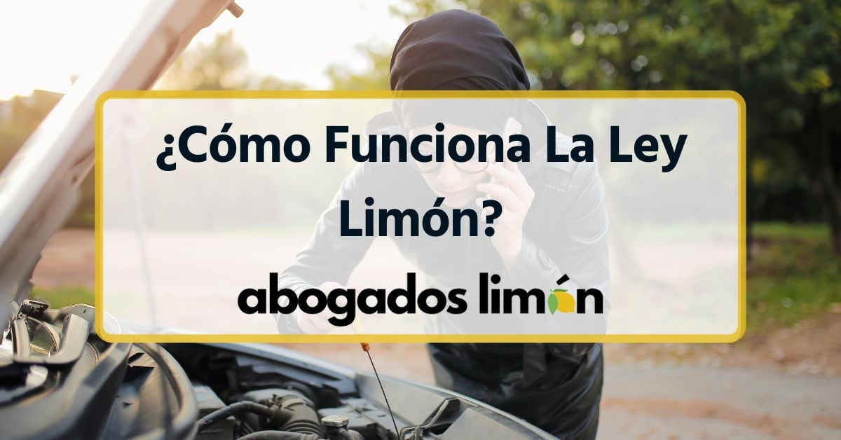 ¿Cómo Funciona La Ley Limón?
